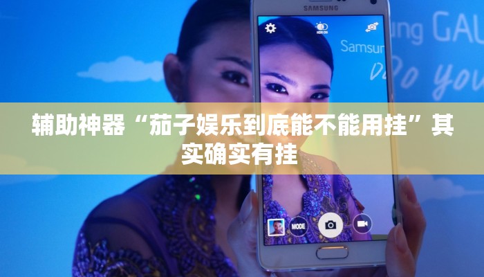 辅助神器“茄子娱乐到底能不能用挂”其实确实有挂 