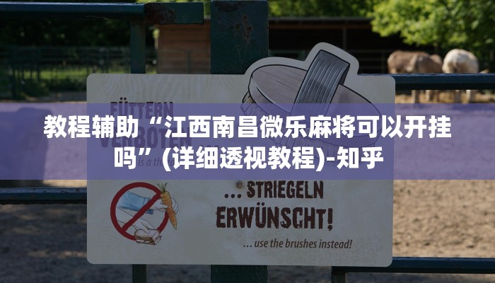 教程辅助“江西南昌微乐麻将可以开挂吗”(详细透视教程)-知乎