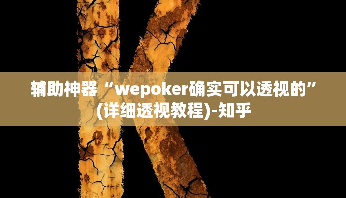 辅助神器“wepoker确实可以透视的”(详细透视教程)-知乎