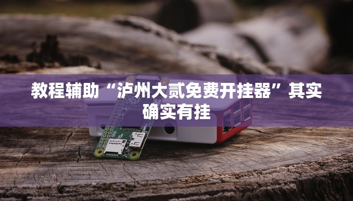 教程辅助“泸州大贰免费开挂器”其实确实有挂