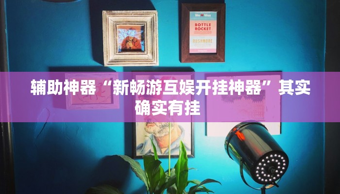 辅助神器“新畅游互娱开挂神器”其实确实有挂 