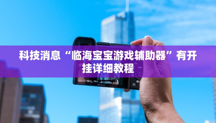科技消息“临海宝宝游戏辅助器”有开挂详细教程
