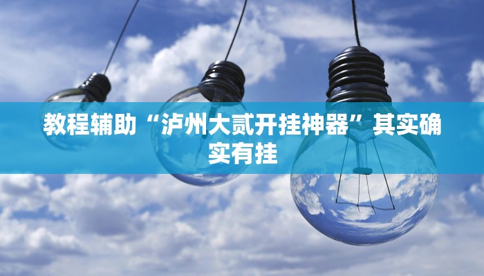 教程辅助“泸州大贰开挂神器”其实确实有挂