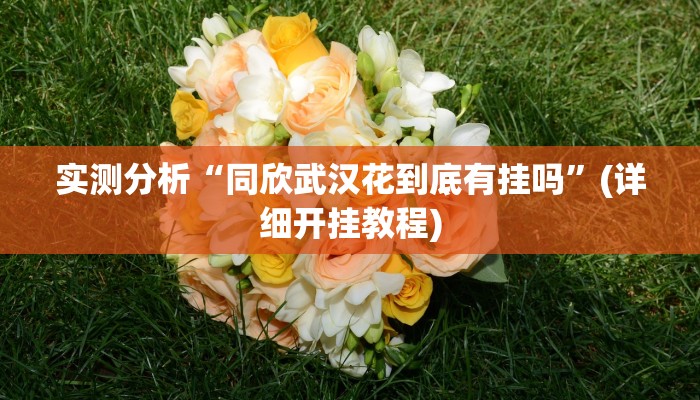 实测分析“同欣武汉花到底有挂吗”(详细开挂教程)