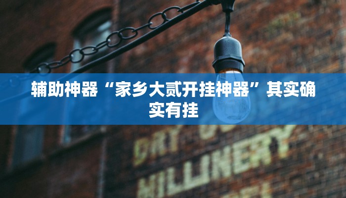 辅助神器“家乡大贰开挂神器”其实确实有挂