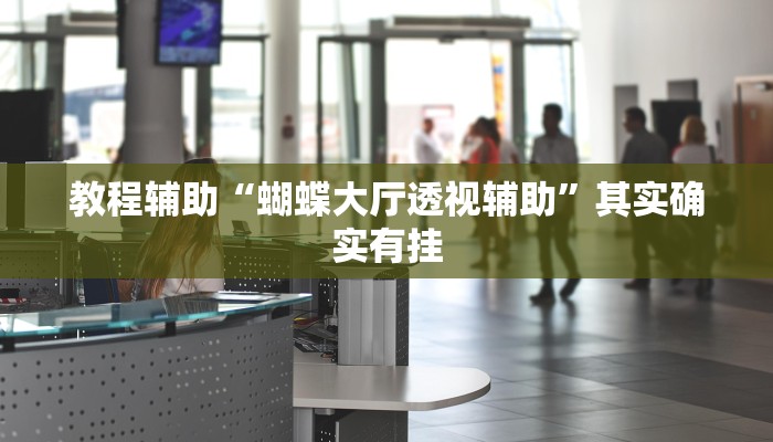 教程辅助“蝴蝶大厅透视辅助”其实确实有挂