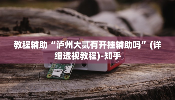 教程辅助“泸州大贰有开挂辅助吗”(详细透视教程)-知乎