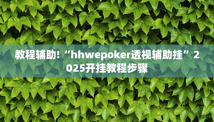 教程辅助!“hhwepoker透视辅助挂”2025开挂教程步骤