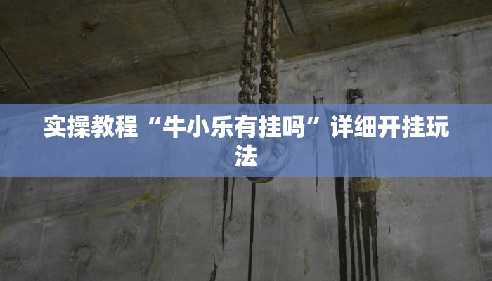 实操教程“牛小乐有挂吗”详细开挂玩法