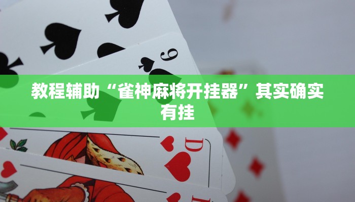 教程辅助“雀神麻将开挂器”其实确实有挂