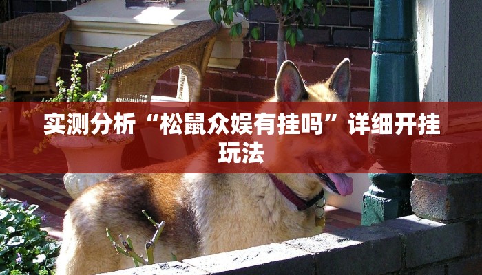 实测分析“松鼠众娱有挂吗”详细开挂玩法