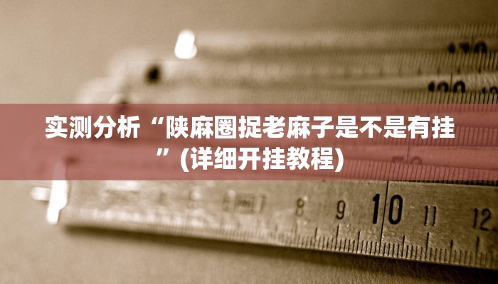 实测分析“陕麻圈捉老麻子是不是有挂”(详细开挂教程)