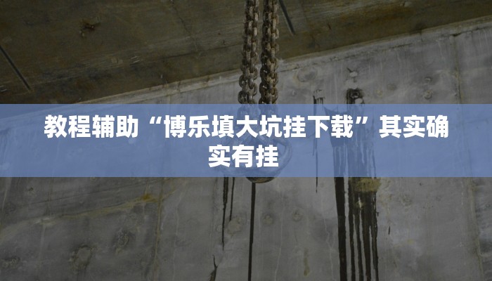 教程辅助“博乐填大坑挂下载”其实确实有挂 