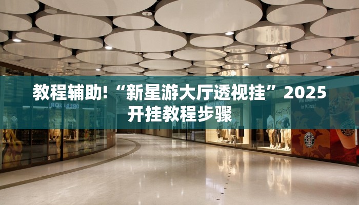 教程辅助!“新星游大厅透视挂”2025开挂教程步骤