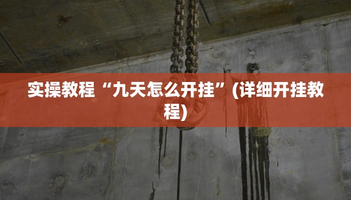 实操教程“九天怎么开挂”(详细开挂教程)