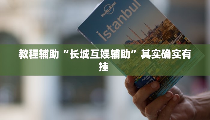 教程辅助“长城互娱辅助”其实确实有挂 