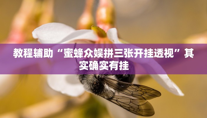 教程辅助“蜜蜂众娱拼三张开挂透视”其实确实有挂