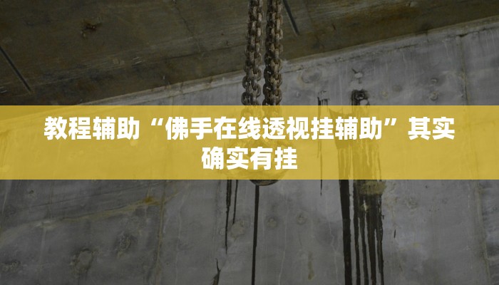 教程辅助“佛手在线透视挂辅助”其实确实有挂