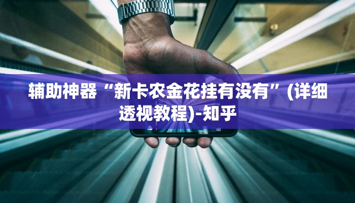 辅助神器“新卡农金花挂有没有”(详细透视教程)-知乎 辅助神器“新卡农金花挂有没有”(详细透视教程)-知乎