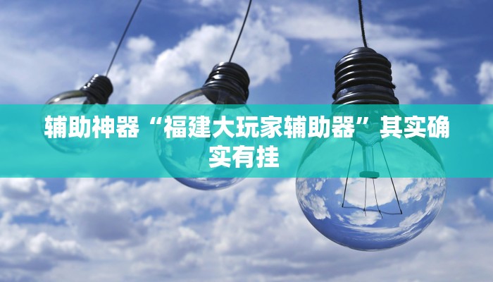 辅助神器“福建大玩家辅助器”其实确实有挂 