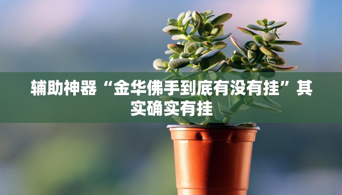 辅助神器“金华佛手到底有没有挂”其实确实有挂