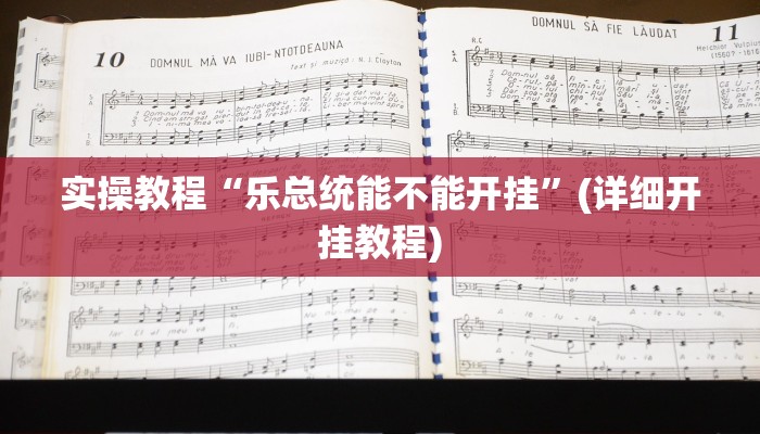 实操教程“乐总统能不能开挂”(详细开挂教程)