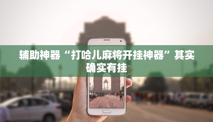 辅助神器“打哈儿麻将开挂神器”其实确实有挂