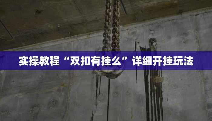 实操教程“双扣有挂么”详细开挂玩法