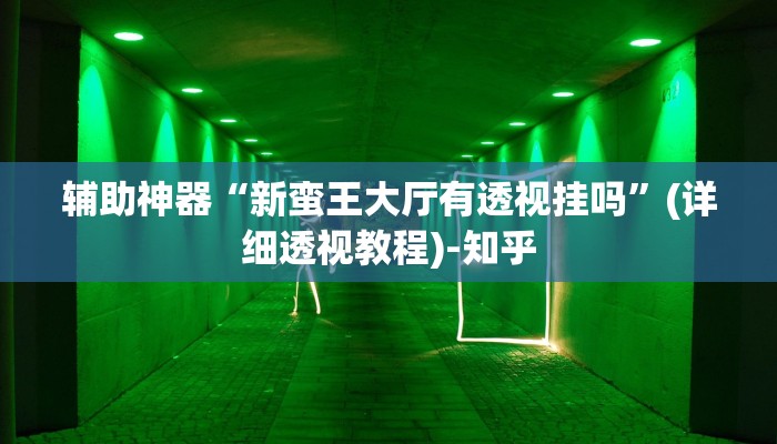 辅助神器“新蛮王大厅有透视挂吗”(详细透视教程)-知乎