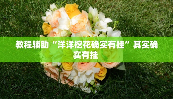 教程辅助“洋洋挖花确实有挂”其实确实有挂 教程辅助“洋洋挖花确实有挂”其实确实有挂