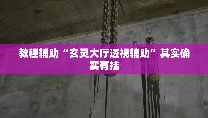 教程辅助“玄灵大厅透视辅助”其实确实有挂 教程辅助“玄灵大厅透视辅助”其实确实有挂