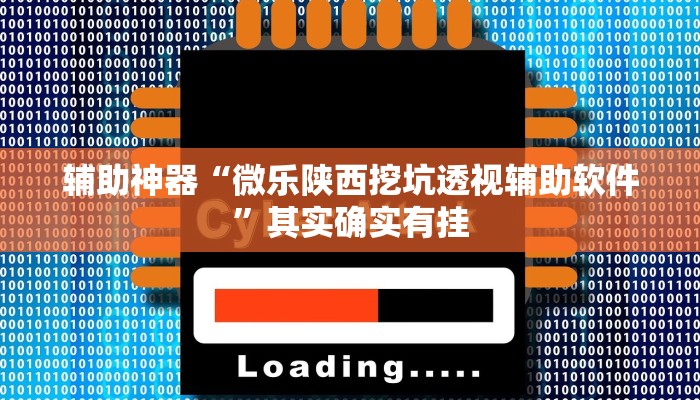 辅助神器“微乐陕西挖坑透视辅助软件”其实确实有挂