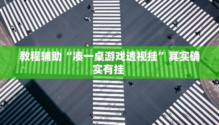 教程辅助“凑一桌游戏透视挂”其实确实有挂 