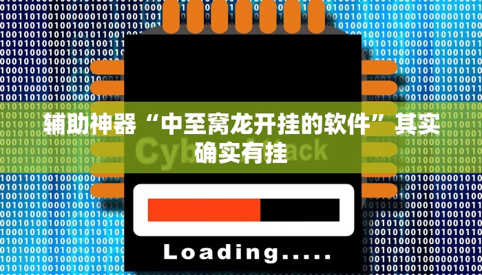 辅助神器“中至窝龙开挂的软件”其实确实有挂