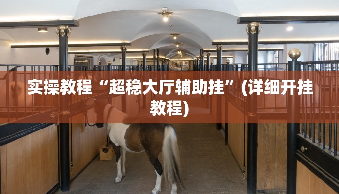 实操教程“超稳大厅辅助挂”(详细开挂教程)