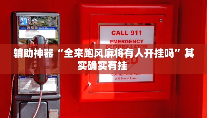 辅助神器“全来跑风麻将有人开挂吗”其实确实有挂 辅助神器“全来跑风麻将有人开挂吗”其实确实有挂