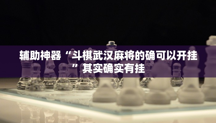 辅助神器“斗棋武汉麻将的确可以开挂”其实确实有挂