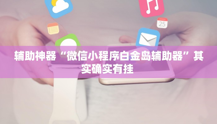 辅助神器“微信小程序白金岛辅助器”其实确实有挂 