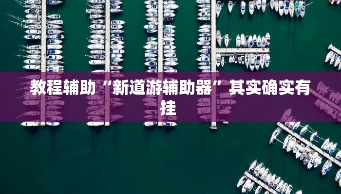 教程辅助“新道游辅助器”其实确实有挂 