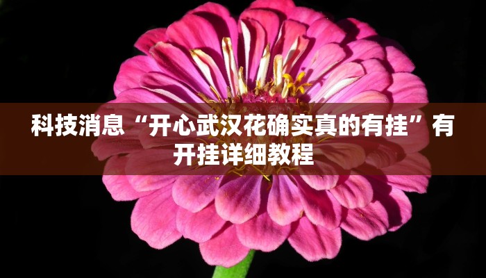 科技消息“开心武汉花确实真的有挂”有开挂详细教程