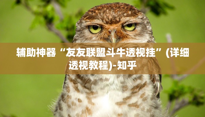 辅助神器“友友联盟斗牛透视挂”(详细透视教程)-知乎 辅助神器“友友联盟斗牛透视挂”(详细透视教程)-知乎