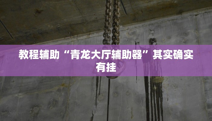 教程辅助“青龙大厅辅助器”其实确实有挂 教程辅助“青龙大厅辅助器”其实确实有挂