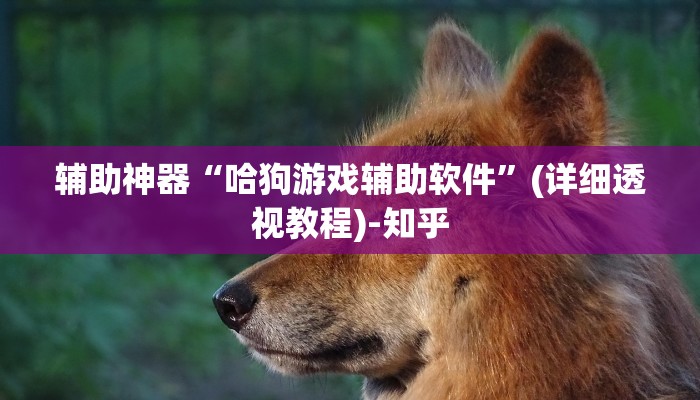辅助神器“哈狗游戏辅助软件”(详细透视教程)-知乎 辅助神器“哈狗游戏辅助软件”(详细透视教程)-知乎