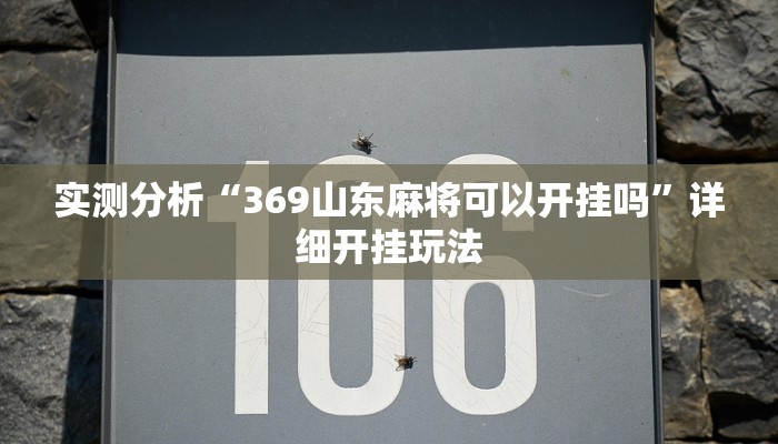 实测分析“369山东麻将可以开挂吗”详细开挂玩法 实测分析“369山东麻将可以开挂吗”详细开挂玩法