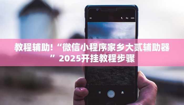 教程辅助!“微信小程序家乡大贰辅助器”2025开挂教程步骤