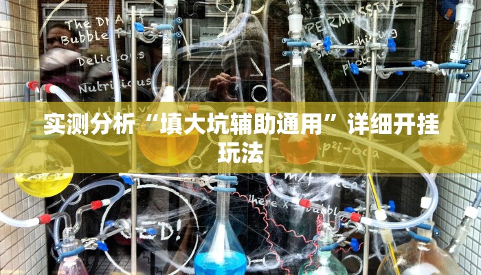 实测分析“填大坑辅助通用”详细开挂玩法