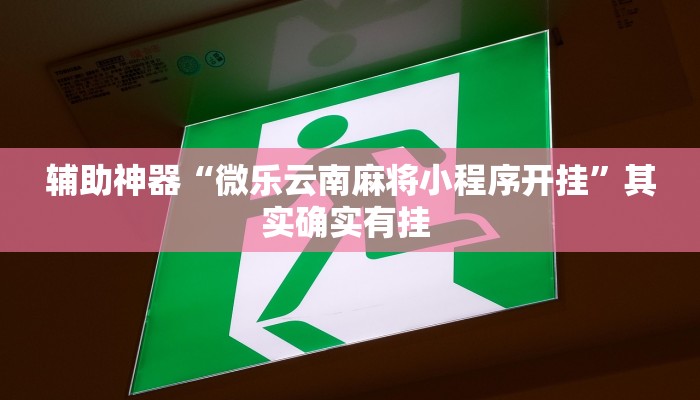 辅助神器“微乐云南麻将小程序开挂”其实确实有挂 辅助神器“微乐云南麻将小程序开挂”其实确实有挂