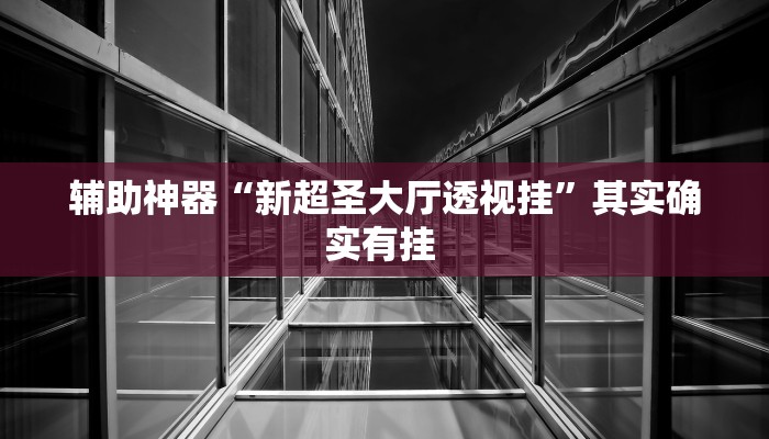 辅助神器“新超圣大厅透视挂”其实确实有挂 辅助神器“新超圣大厅透视挂”其实确实有挂
