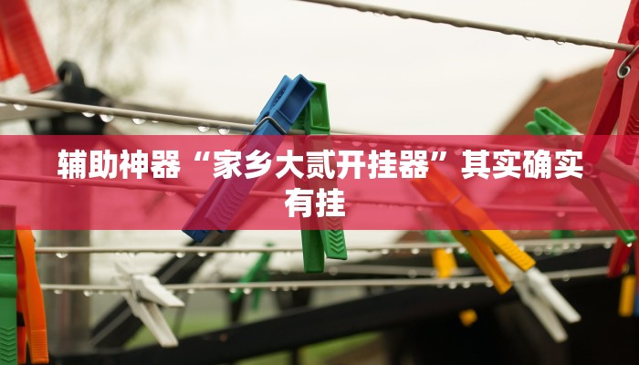 辅助神器“家乡大贰开挂器”其实确实有挂 辅助神器“家乡大贰开挂器”其实确实有挂