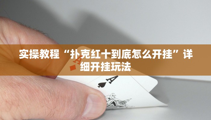 实操教程“扑克红十到底怎么开挂”详细开挂玩法 实操教程“扑克红十到底怎么开挂”详细开挂玩法